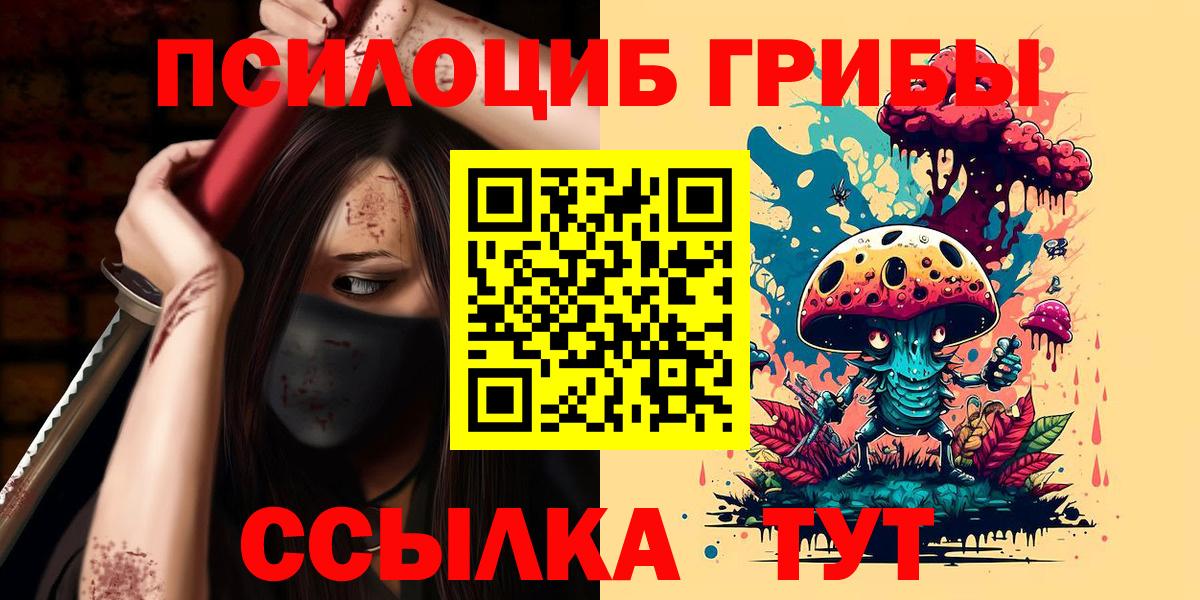 Галлюциногенные грибы Psilocybine cubensis Новый Уренгой